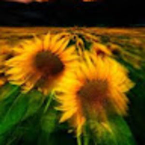 Meet your Posher, Itz_